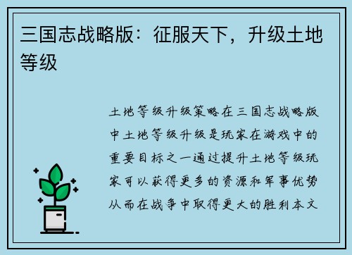 三国志战略版：征服天下，升级土地等级