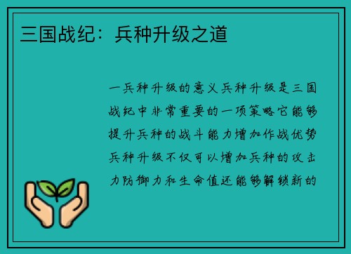 三国战纪：兵种升级之道
